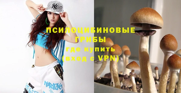 гидра Белокуриха