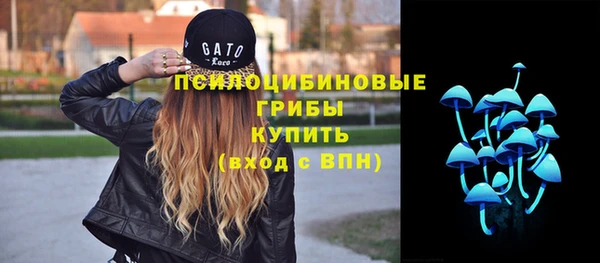 гидра Белокуриха