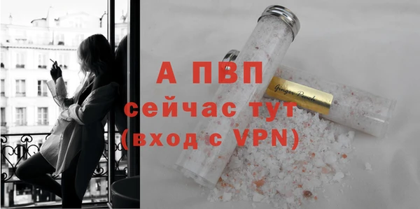 гидра Белокуриха