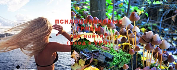 гидра Белокуриха