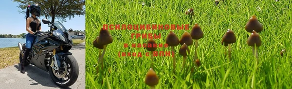 MDMA Premium VHQ Беломорск