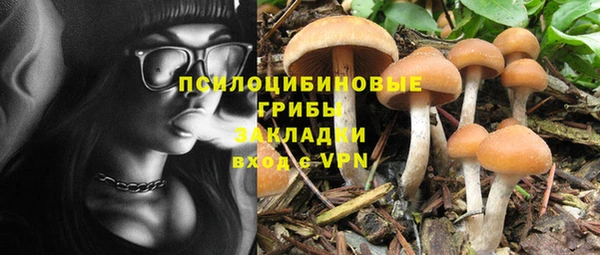 ГАЛЛЮЦИНОГЕННЫЕ ГРИБЫ Белоозёрский