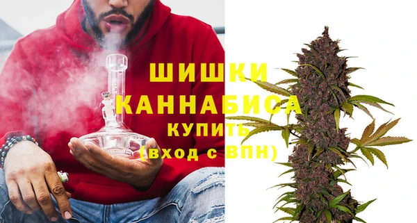 гидра Белокуриха