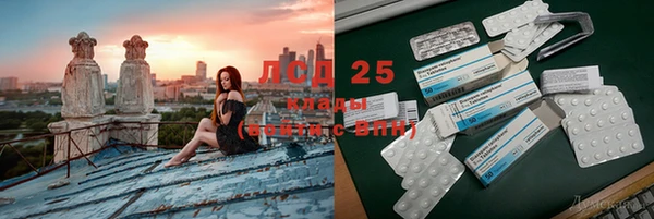 эйфоретик Богданович