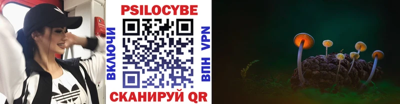 Галлюциногенные грибы Magic Shrooms  Краснослободск 